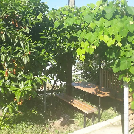 Guesthaus Levent Trabzon