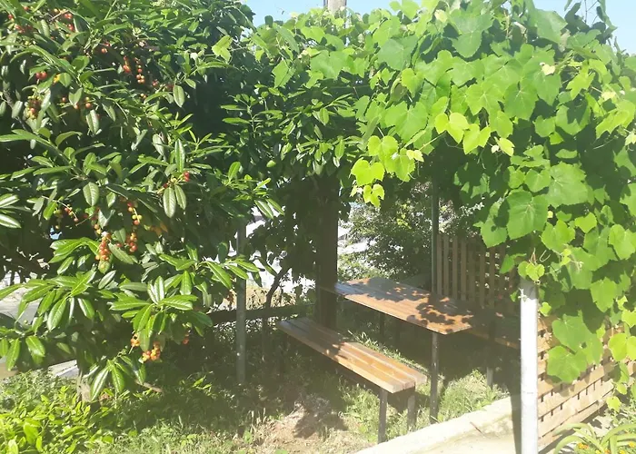 Guesthaus Levent Trabzon